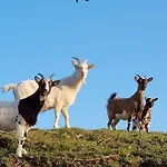 Frühstückspension Le Domaine De Bella 3*