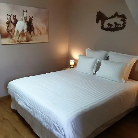 Le Domaine De Bella 3* Dange-Saint-Romain