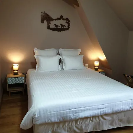 Le Domaine De Bella 3* Dange-Saint-Romain