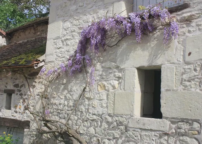 Le Domaine De Bella Bed and breakfast Dange-Saint-Romain